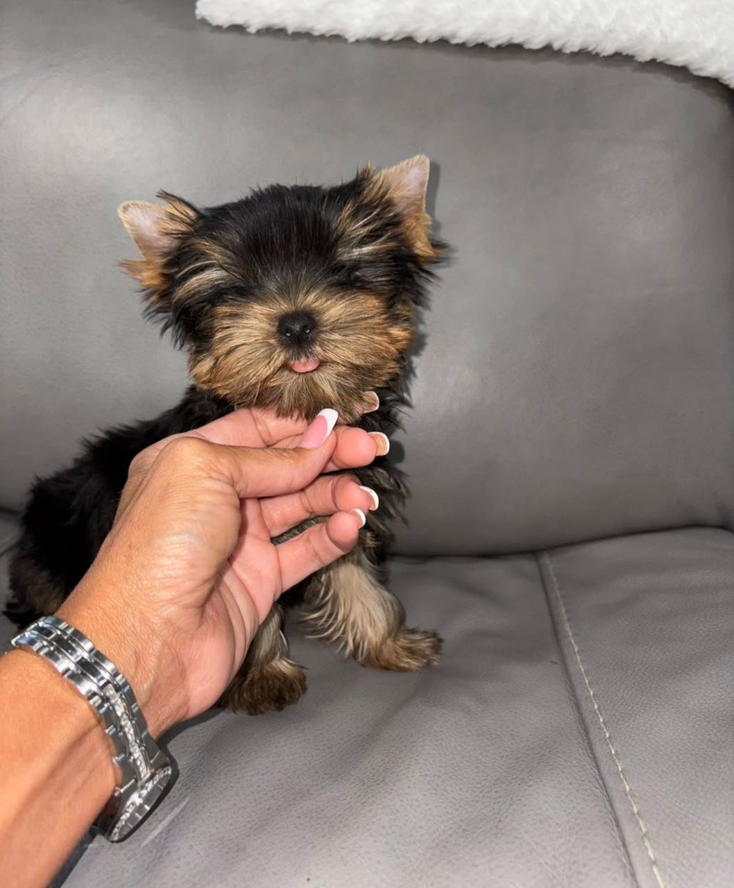 Gidget