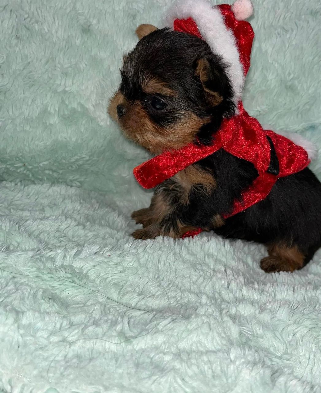 Nathan - Image 3